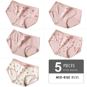 5PCS/Set  Panty Girls comfortable underwear