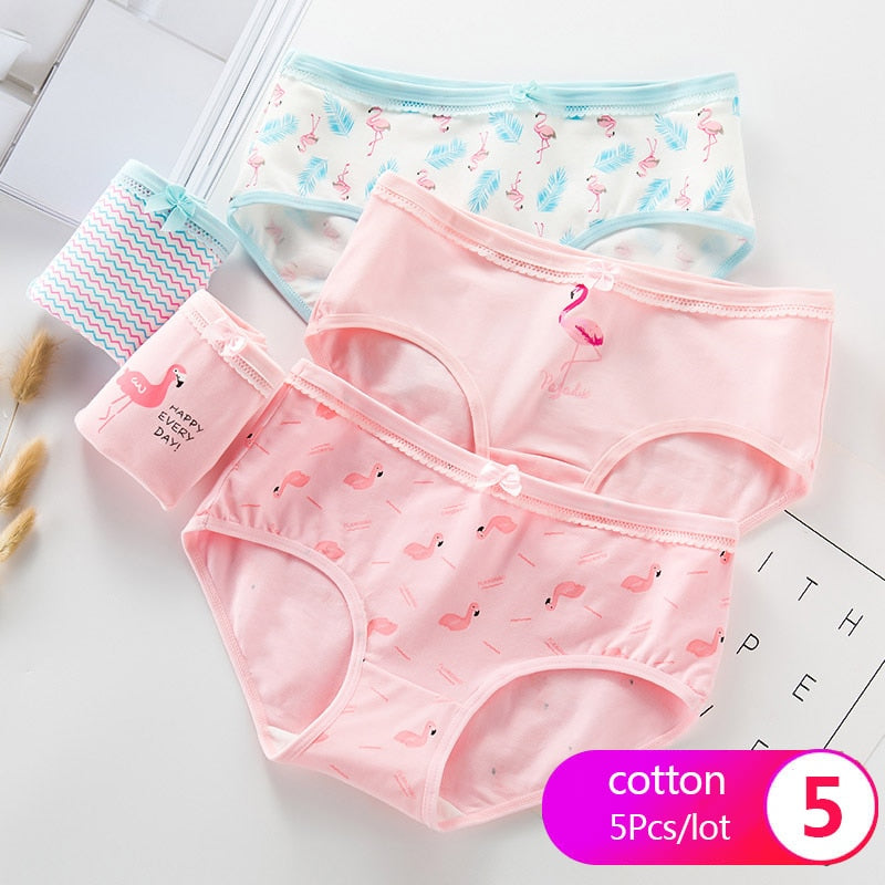 Fashion Print 5Pcs Women‘s Panties Pure Cotton Breathable