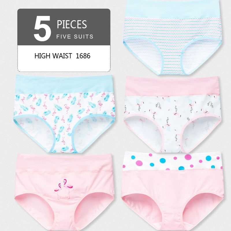 5PCS/Set  Panty Girls comfortable underwear