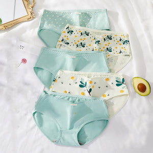 Fashion Print 5Pcs Women‘s Panties Pure Cotton Breathable